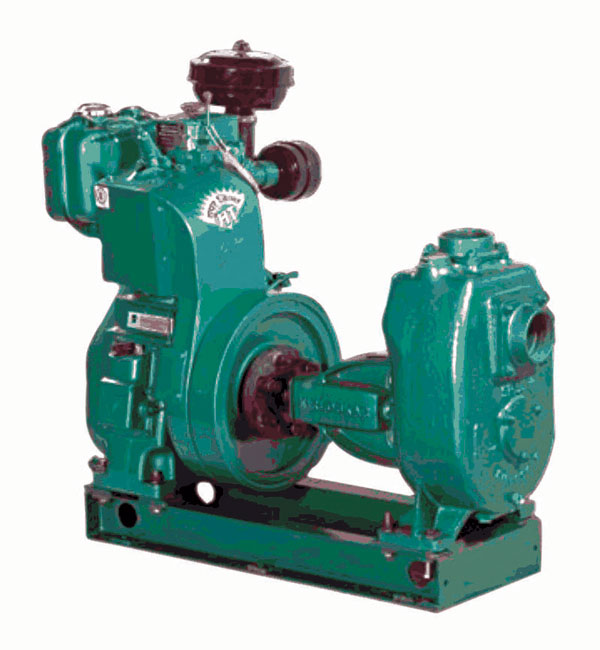 p27.jpg