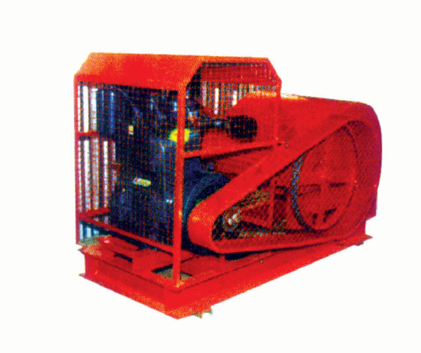 p13.jpg